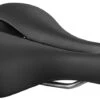 Selle Royal Ellipse Moderate Selle De Trekking Pour Femmes 1 Selle Royal Ellipse Moderate Selle De Trekking Pour Femmes -Vélo Pièces Magasin Selle Royal Ellipse Moderat 51B6DE0A09321 1